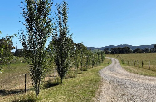 Erudgere Cottage | Redgate Cottage, Mudgee. Peaceful rural setting. Great place to unwind.