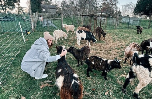 Penguin Cottage | Romantic Farmlet Escape - Mini Goats & Firepit