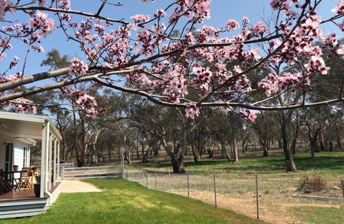 Grattai Bed & Breakfast | Rosewood Cottage Mudgee