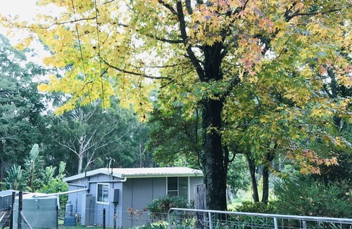 Colo Heights Cottage | Rustyque Escape in Colo Heights - Pets Welcome