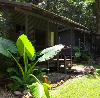 Cape Tribulation Cabin | Safari Lodge