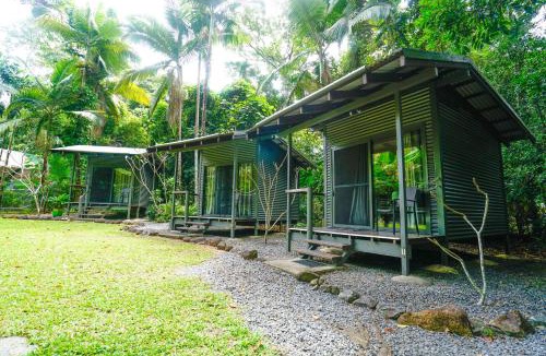 Cape Tribulation Cabin | Safari Lodge