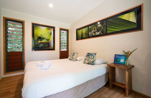 Cape Tribulation Cabin | Safari Lodge