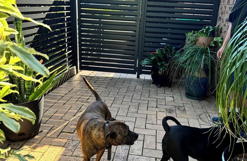 Hawks Nest Villa | Salty Crew villa , Central spot , Pet friendly ,private garden oasis secure yard