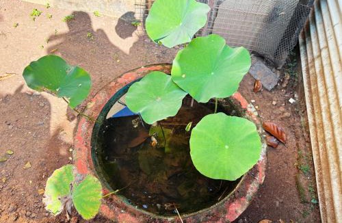 Varkala Apartment | Saralalayam