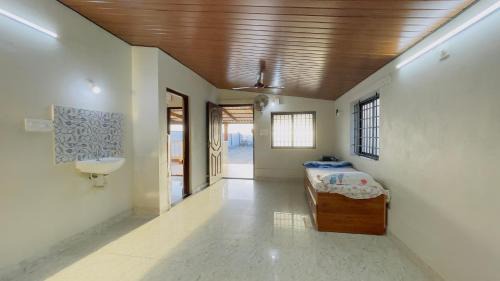 Malpe Ski Chalet | Sea shells on the seashore
