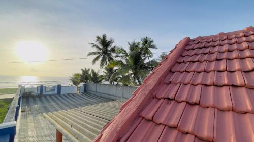 Malpe Ski Chalet | Sea shells on the seashore