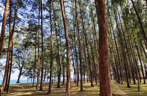 Dungun Hotel | Semarak Beach Inn