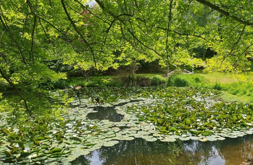 Sheffield Apartment | Sheffield Dome set in an Enchanting Garden