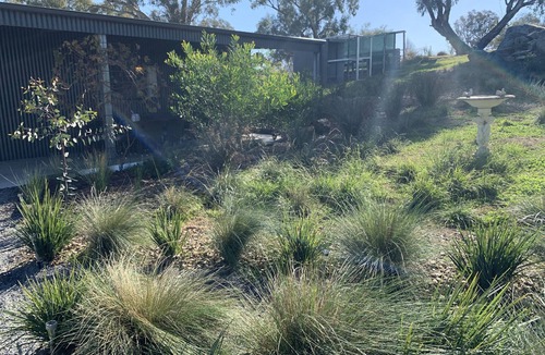 Gumly Gumly Apartment | Sheps Siding Cottage