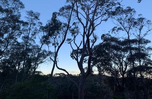 Hazelbrook Bed & Breakfast | Snooty Fox Bed &breakfast
