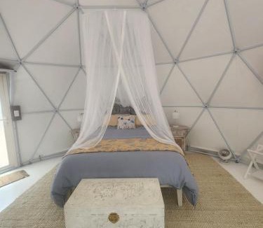 Traveston House | Solara - A Private Dome Nestled in the Trees l Noosa Hinterland