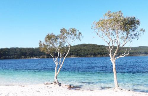 Kingfisher Bay Apartment | Splendid 705 Cooloola Villa, Kingfisher Bay Resort, K'gari Fraser Island