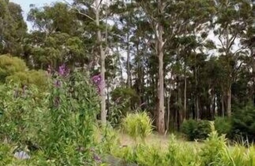 Margaret River House | St Clair Cottage Peaceful romantic country getaway