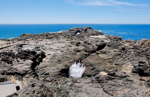 Kiama Apartment | Sting Dream - quant unit offering all the comforts of home