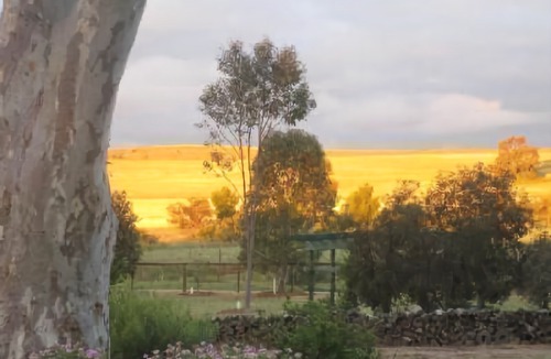 Appila Hotel | Stone Hut Cottage