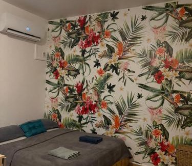 Cayenne Apartment | Studio Ça Mconvient