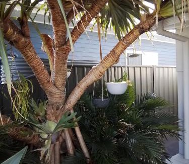 Yamba Apartment | Studio 21 Waterfront