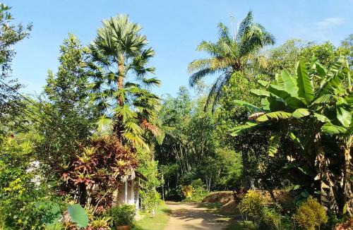 Plai Phraya Hostel | Suan Bang Bon Guest House