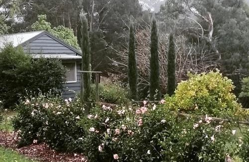 Main Ridge Bed & Breakfast | Summerhill Farm B&B
