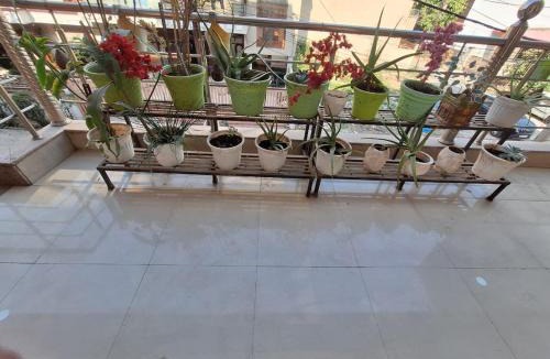 Dehradun Apartment | Sun Light Apartment