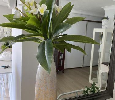 Main Beach Apartment | Sunbird Beach Resort Main Beach
