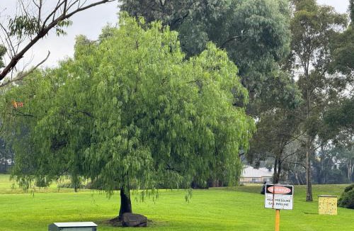 Mooroolbark House | Sunny Nook Townhouse by Mooroolbark Train Stop Ground Floor Self Check-in