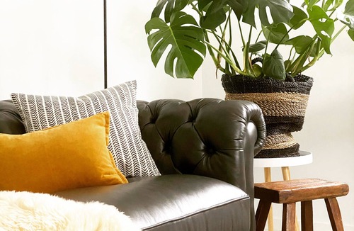 Leopold Apartment | Superior Boutique Accomodation - central to WINERIES and BEACHES