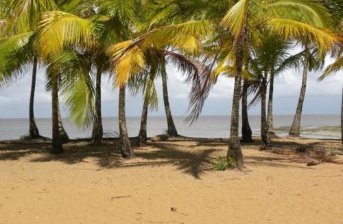 Cayenne Apartment | T2 de standing sur Cayenne à 1min de la plage