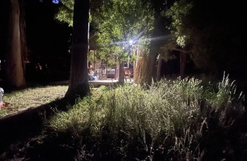 Camena Cabin | Take a break and unwind in this peaceful and relaxing bush setting