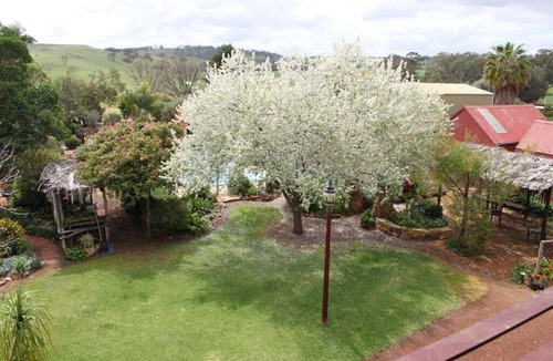 Katrine House | "Talbot" Rustic style accommodation with Mod Cons