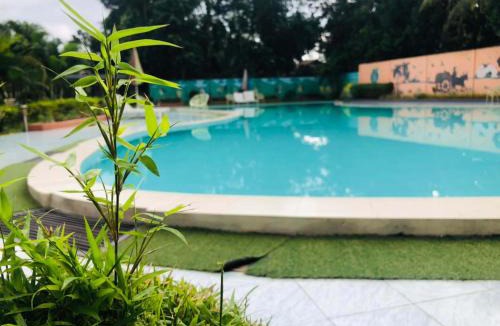 Sreemangal Upazila Hotel | Tea Heaven Resort