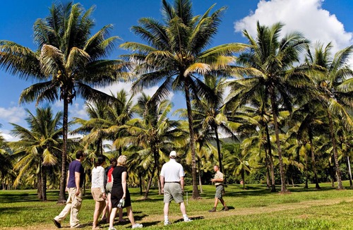 Oak Beach Resort | Thala Beach Nature Reserve