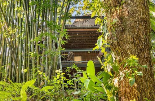 Buderim Apartment | The Bamboo Base at Buderim
