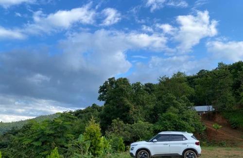 Saikul House | The Blooming Hill