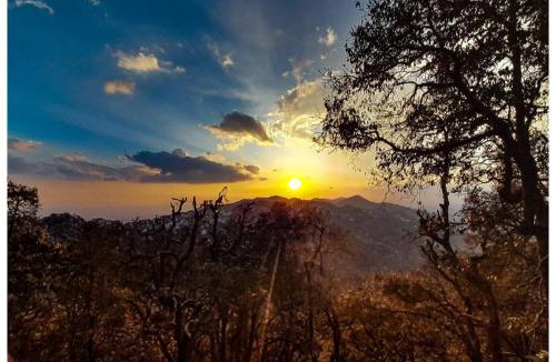 Landour Bed & Breakfast | The Butterfly Room at Landour Retreat