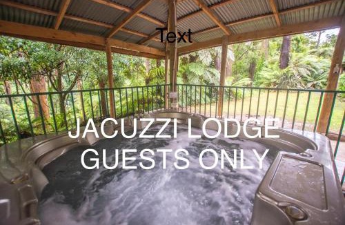 Mount Dandenong Bed & Breakfast | The Fernglen Forest Retreat