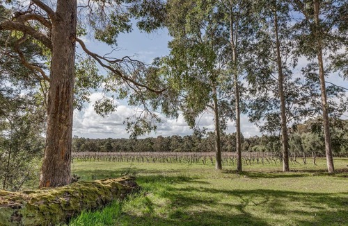 Wilyabrup Apartment | The Grove Distillery