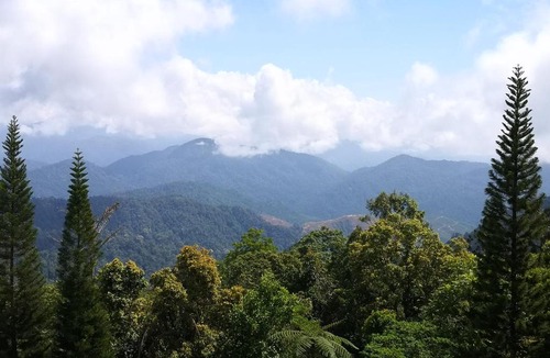 Bukit Fraser House | The Hill at Fraser Hill