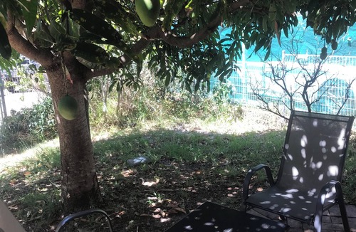 Fingal Bay Apartment | The Mango Tree, Fingal Bay
