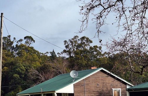 Nyamup Cottage | The May Queen - Footsteps in the Forest - est 1939