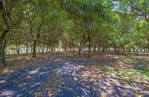 Urunga Cottage | The Nutty Bungalow.an organic nut orchard by the beach.