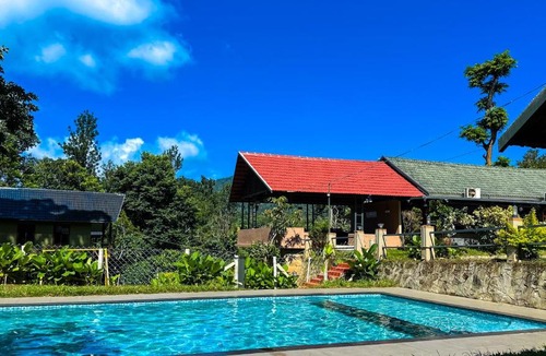 Tholpetty Cabin | The Rain Tree resort