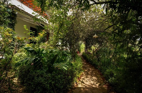 Ooty Bed & Breakfast | The Tamarillo