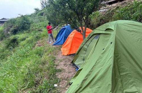 Shangarh Other | The WILD Canopy