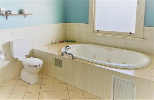 York Hotel | The York Palace Accommodation