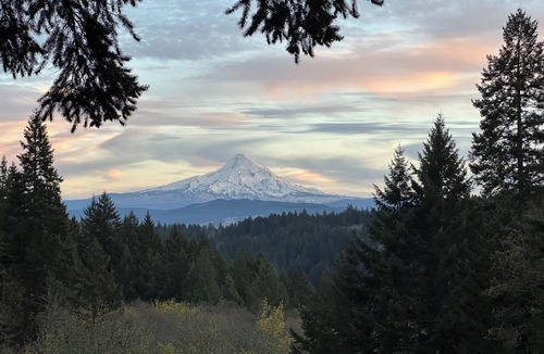White Salmon Apartment | Thunderbird Treehouse, a cozy artisan built home overlooking Mt Hood.
