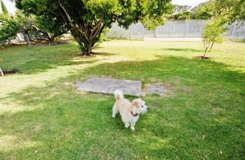 Waterhouse House | Tobruk Cottage Robe SA