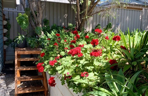 Windsor Gardens Apartment | Tranquil Garden Retreat in Adelaide - Julie’s Place