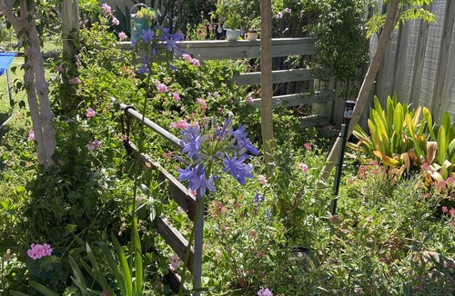 Halls Head House | Tranquility garden house ,5 minutes stroll to Indian Ocean